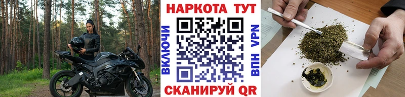 Купить Новосиль Псилоцибиновые грибы  Alpha PVP  Конопля  АМФ  Мефедрон  Cocaine 