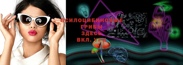 дмт Алексин