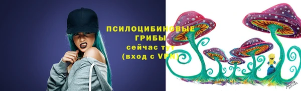 прущие крисы Алексеевка