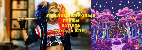 прущие крисы Алексеевка