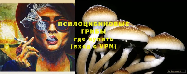 прущие крисы Алексеевка