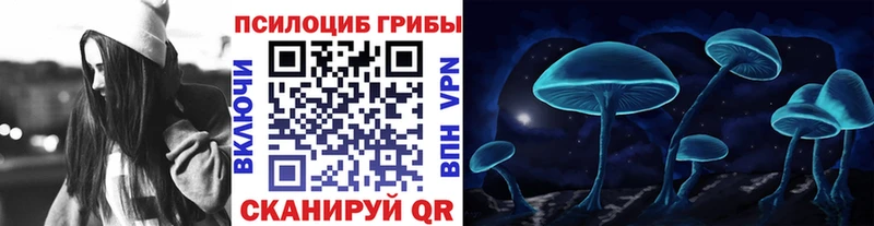 хочу наркоту Новосиль Галлюциногенные грибы мухоморы
